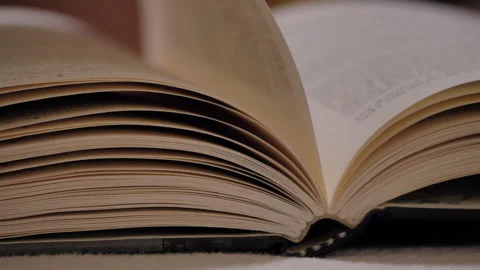 Reading a book, turning pages. Видео 133464840