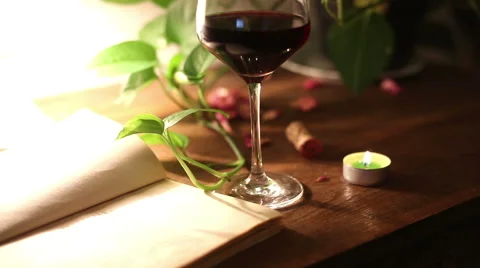 Reading a book with wine Stock-Footage 55631374