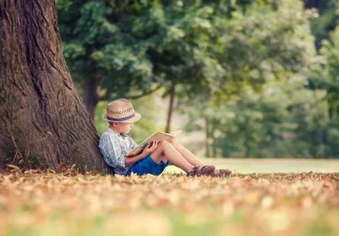 Reading boy sitting under big tree in park Stock Photos