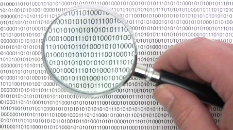 Reading Data 스톡 동영상 458467