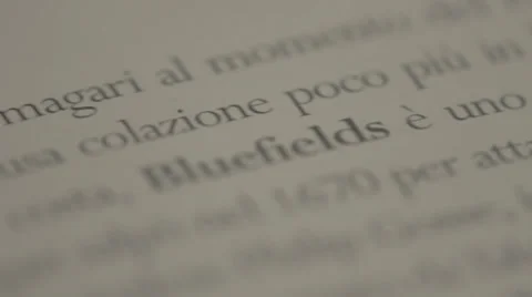 Reading focus, close up of a book's page Stock Footage 36095017