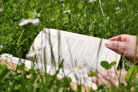 Reading on a meadow Stock Photos