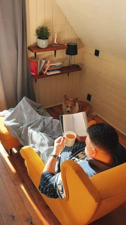 Reading Moment with a Beloved Pet in a Bright Sunlit Room Perfect for Relaxation Stock Footage 290295414