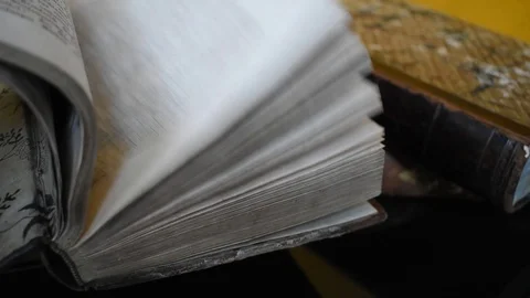 Reading an old book. Pages are flipped Stock Footage 121011983