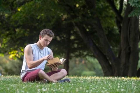 Reading in the park Stock Photos