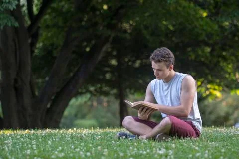 Reading in the park Stock Photos