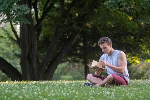 Reading in the park Stock Photos