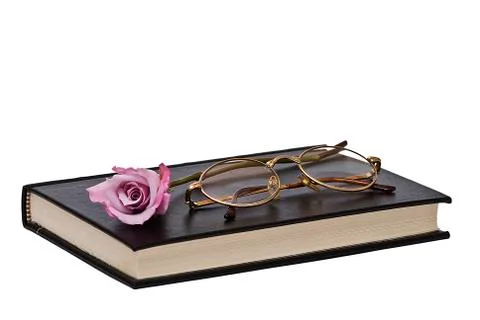 Reading. Stock Photos