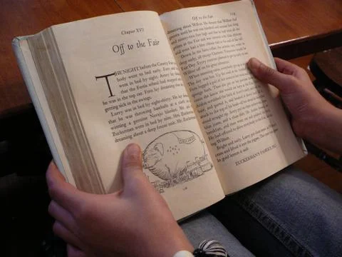 Reading For Pleasure Stock Photos