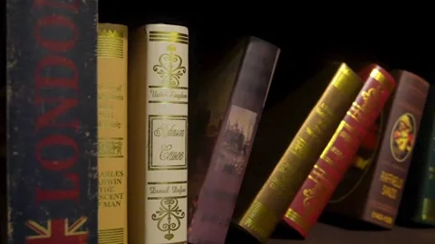 Reading in a Quiet Library Stock Footage 248372740