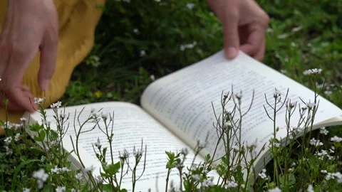 Reading real video through books in 4K grass. Stock-Footage 333684748