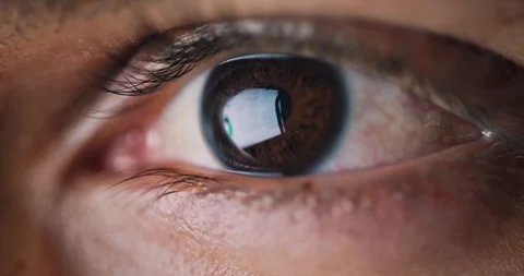 Reading, reflection and eyes of person on computer for research, online proposal Stock Footage 310822392