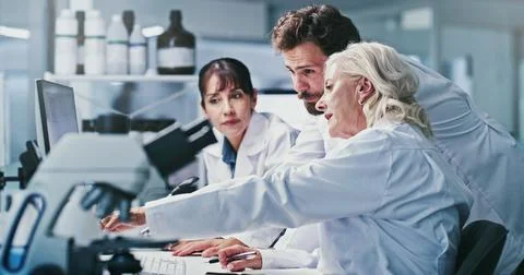 Reading, science or people with computer in lab, procedure discussion or pl.. Stock Photos