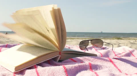 Reading on the Sunny Beach Stock Footage 25810233