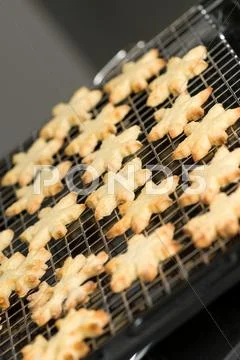 Ready backed cookies on a rack Stock Photos