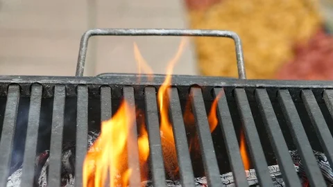Ready For Barbecue Stock Footage 96225004