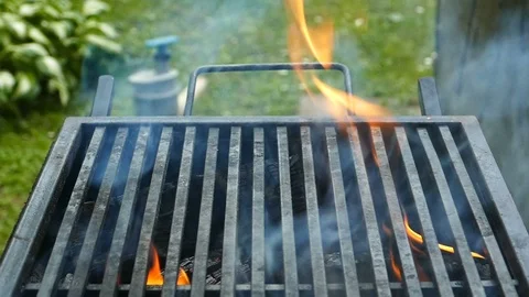 Ready For Barbecue Stock Footage 96238960