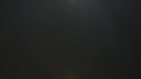 Ready burgers fly up on a black background. Slow motion video Stock Footage 117404633