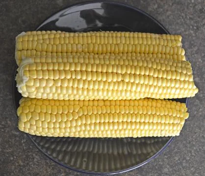 Ready-to-cook raw corn on the cob close-up Stock Photos