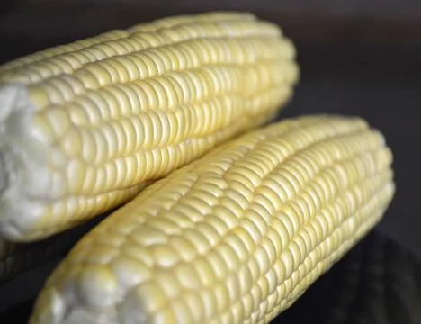 Ready-to-cook raw corn on the cob close-up Stock Photos