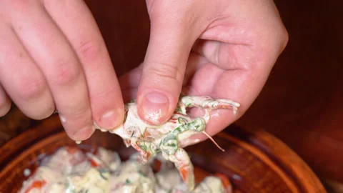 Ready crayfish on a plate Stock Footage 254688424