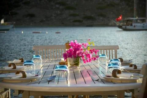 Ready for dinner Photos