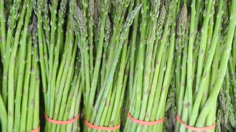 Ready to eat asparagus Stock Footage 300878170