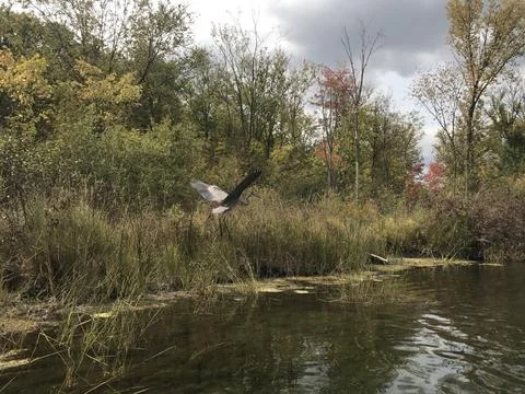 Ready to Land 库存照片