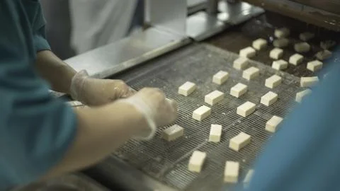 Ready-made chocolate sweets move along the conveyor belt. Stock Photos
