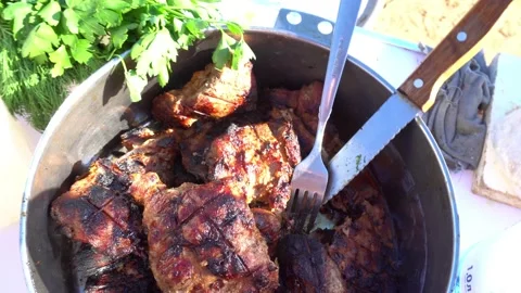 Ready-made delicious meat covered with a crust. Video stock 201748593