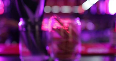 Ready-made drinks are on the bar ready to be consumed. Stock Photos