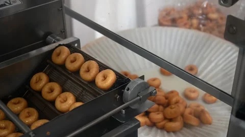 Ready-made fresh fried mini donuts. Line for making mini donuts on the conveyor Stock Footage 244683611