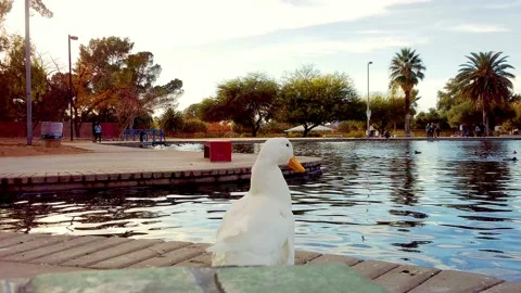 READY FOR MY CLOSE UP Stockbeeldmateriaal 239479874