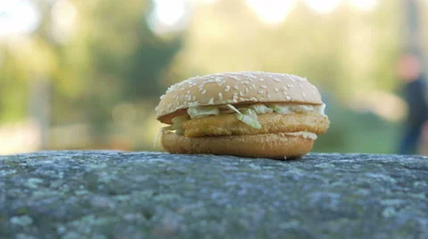 Ready nice hamburger with chicken lying on a rock. Against the background of Stock Footage 68573231