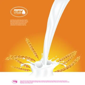 Ready Oatmeal ad template layout, with milk pouring white space. Stock Illustration