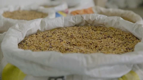 Ready to packing Pigeon peas mill plant in village india Stock Footage 217905807