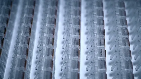 Ready patch cord connectors on the assembly line Stock Footage 72388461