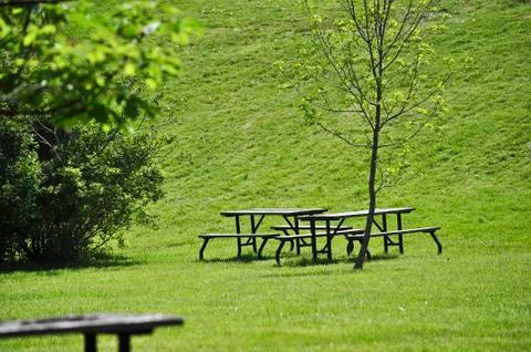 Ready for picnic Stock Photos