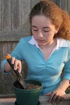 Ready To Plant Stock Photos