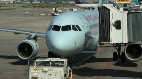 Ready to roll Video stock 798912