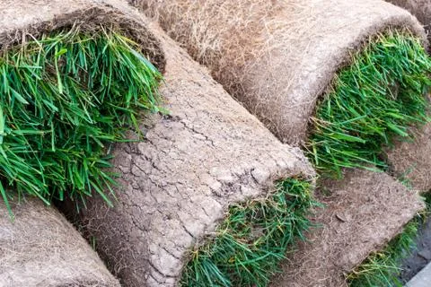 Ready Rolled Turf Stock Photos