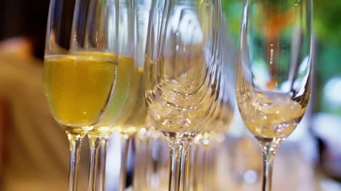 Ready to serve champagne glasses. Video stock 248582723