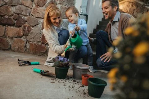 Ready, set, grow! Stock Photos