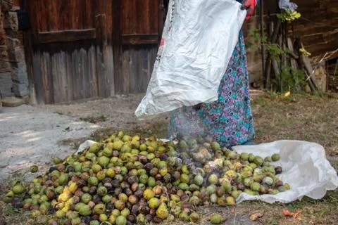 Ready-to-shell walnuts Stock Photos