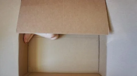 Ready for Shipping 스톡 사진