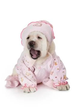 Ready to sleep Foto stock