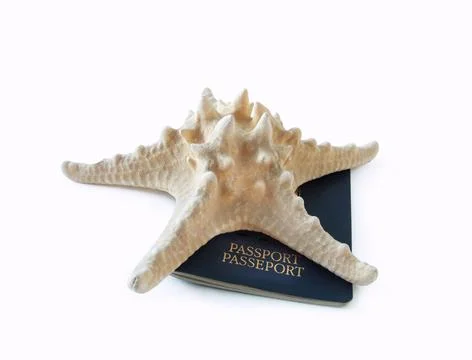 Ready for vacation Foto stock