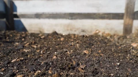 Ready vermicompost in compost pile close-up Stock Footage 337544710