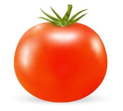 Real 3d tomato on a white background Stock Illustration