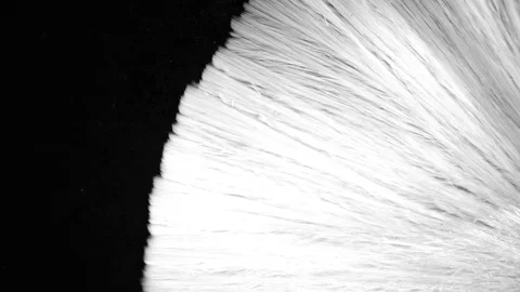 Real 4K ink drops flowing in water Stock Footage 74715074